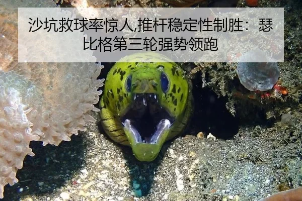 沙坑救球率惊人,推杆稳定性制胜：瑟比格第三轮强势领跑