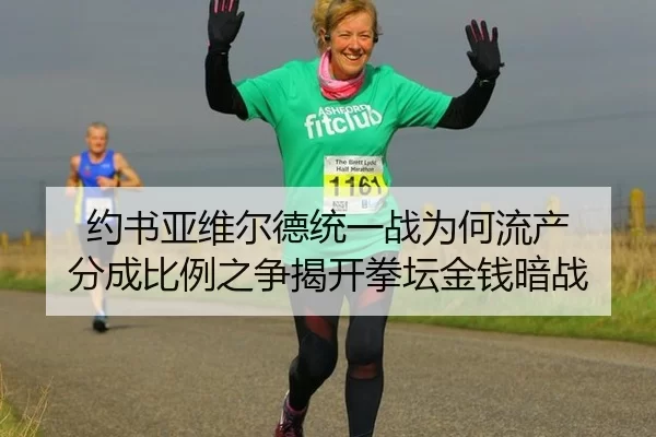 约书亚维尔德统一战为何流产 分成比例之争揭开拳坛金钱暗战